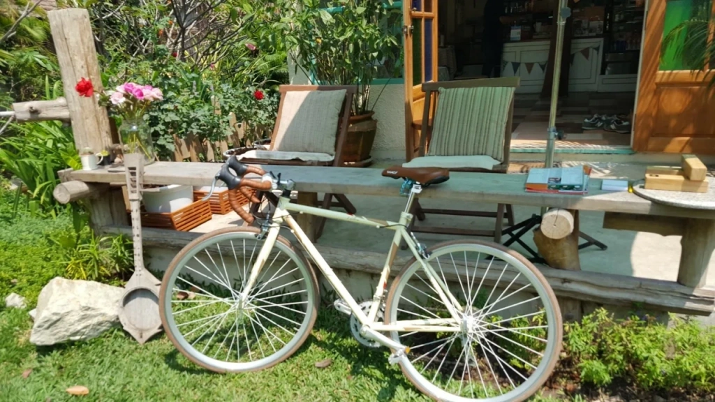 CMLocals Chiang Mai Locals LTR visa long-term living Chiang Mai lifestyle